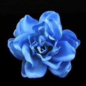 Meet your Posher, Patti